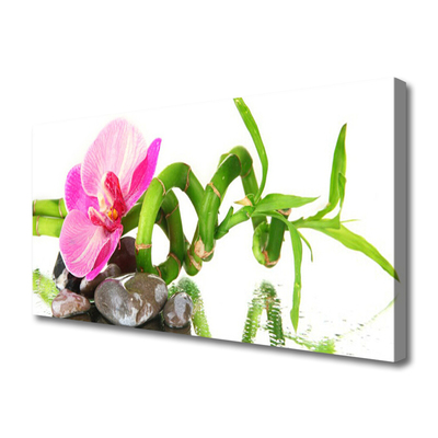 Quadro em tela Flor Planta Natureza