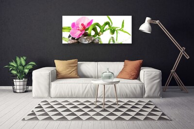 Quadro em tela Flor Planta Natureza