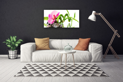 Quadro em tela Flor Planta Natureza