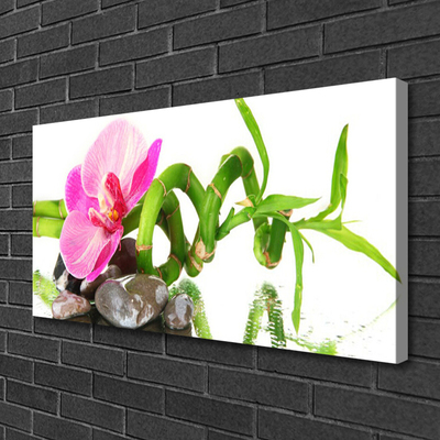Quadro em tela Flor Planta Natureza