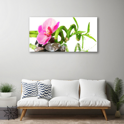 Quadro em tela Flor Planta Natureza
