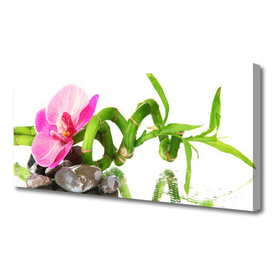 Quadro em tela Flor Planta Natureza