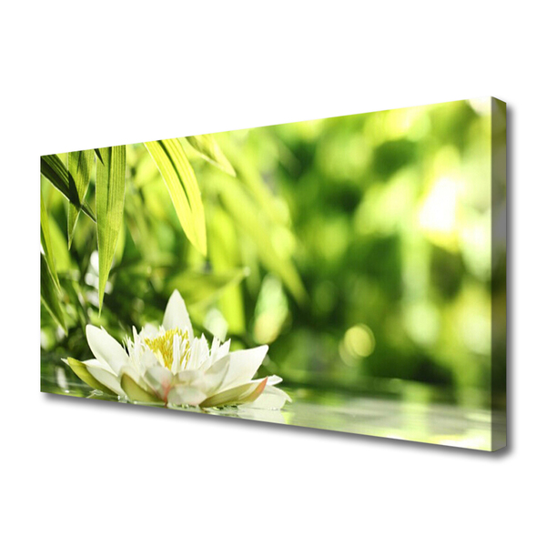 Quadro canvas Folhas de flores