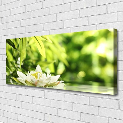 Quadro canvas Folhas de flores