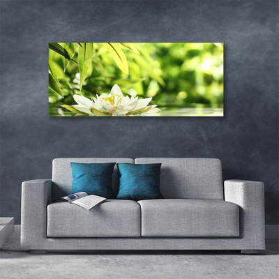 Quadro canvas Folhas de flores