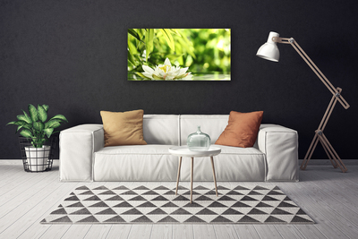 Quadro canvas Folhas de flores