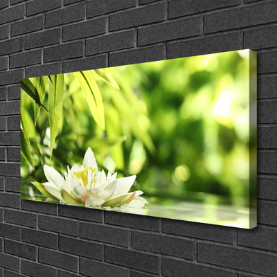 Quadro canvas Folhas de flores