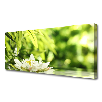 Quadro canvas Folhas de flores