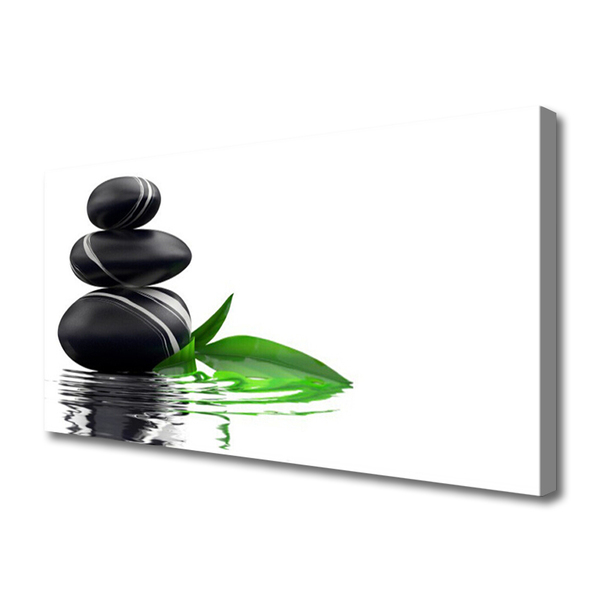 Quadro em tela Pedras Folhas Água Arte