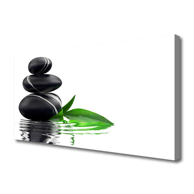Quadro em tela Pedras Folhas Água Arte