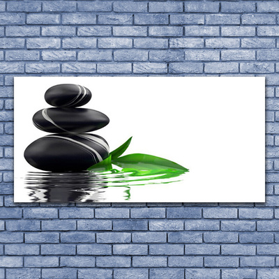 Quadro em tela Pedras Folhas Água Arte