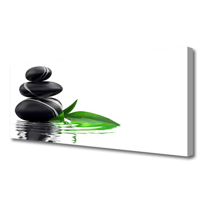 Quadro em tela Pedras Folhas Água Arte