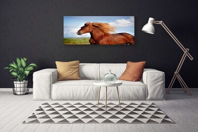 Quadro canvas Animais Cavalos