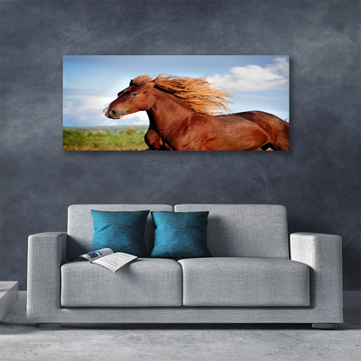 Quadro canvas Animais Cavalos