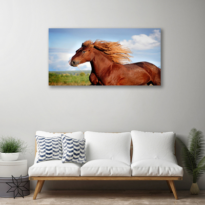 Quadro canvas Animais Cavalos
