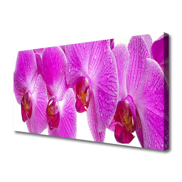 Quadro em tela Flores Planta Natureza
