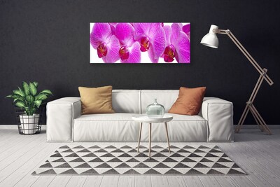 Quadro em tela Flores Planta Natureza