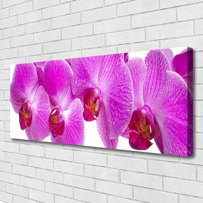 Quadro em tela Flores Planta Natureza