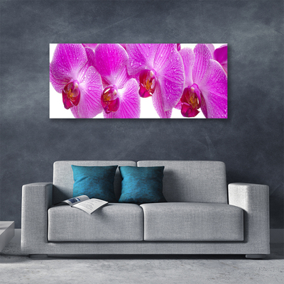 Quadro em tela Flores Planta Natureza