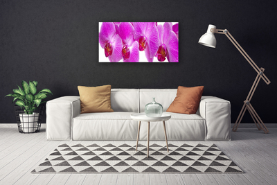 Quadro em tela Flores Planta Natureza
