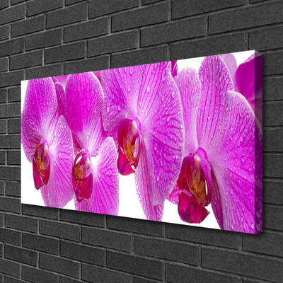 Quadro em tela Flores Planta Natureza