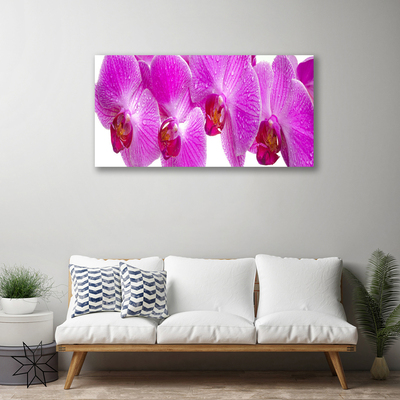 Quadro em tela Flores Planta Natureza