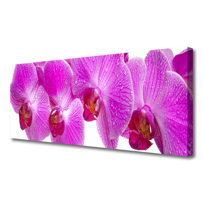 Quadro em tela Flores Planta Natureza