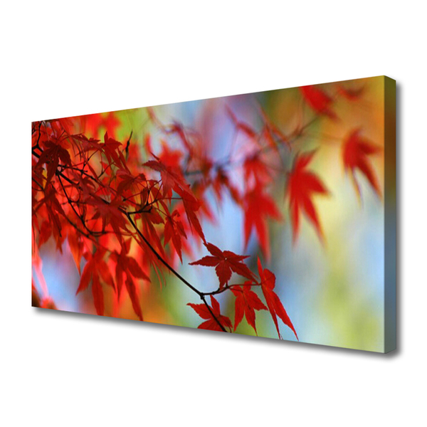 Quadro canvas Folhas da Natureza