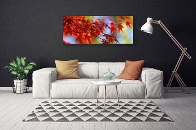 Quadro canvas Folhas da Natureza