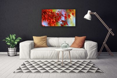 Quadro canvas Folhas da Natureza