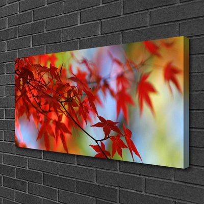 Quadro canvas Folhas da Natureza