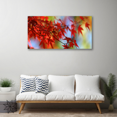 Quadro canvas Folhas da Natureza