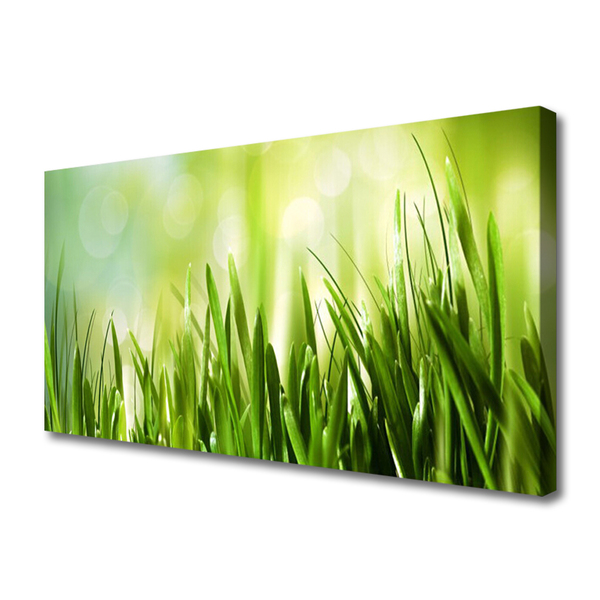 Quadro em tela Natureza da grama