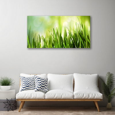 Quadro em tela Natureza da grama