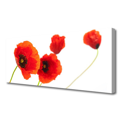 Quadro em tela Planta de flores