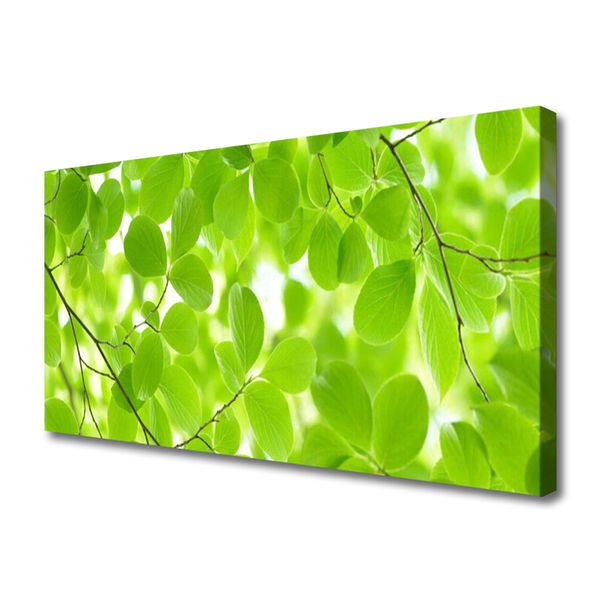 Quadro em tela Folhas da Natureza