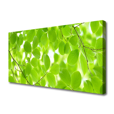 Quadro em tela Folhas da Natureza