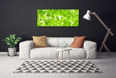 Quadro em tela Folhas da Natureza