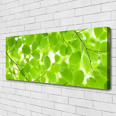 Quadro em tela Folhas da Natureza