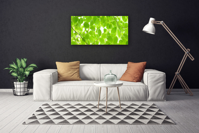 Quadro em tela Folhas da Natureza