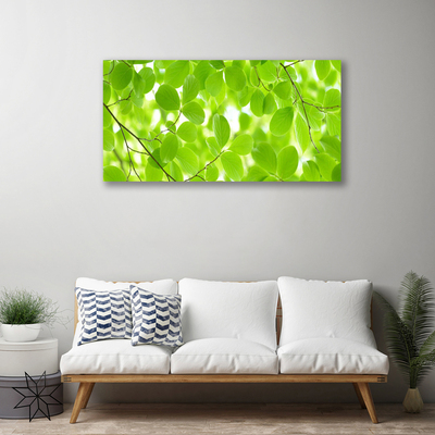 Quadro em tela Folhas da Natureza
