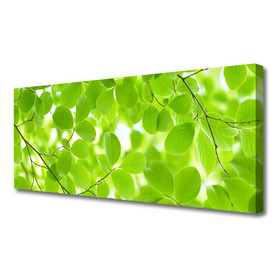 Quadro em tela Folhas da Natureza