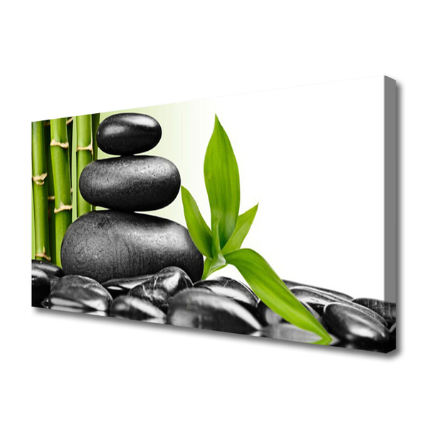 Quadro canvas Arte com Folhas e Pedras
