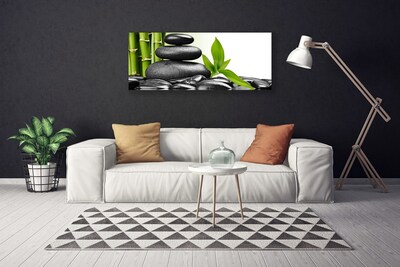 Quadro canvas Arte com Folhas e Pedras