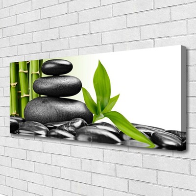 Quadro canvas Arte com Folhas e Pedras
