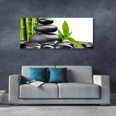 Quadro canvas Arte com Folhas e Pedras