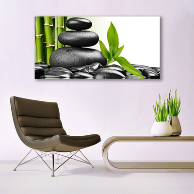 Quadro canvas Arte com Folhas e Pedras