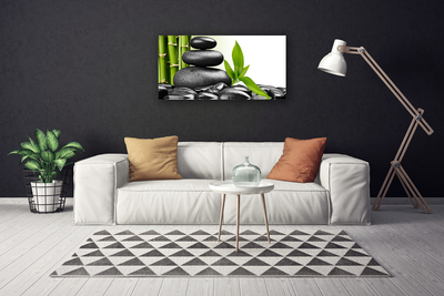 Quadro canvas Arte com Folhas e Pedras