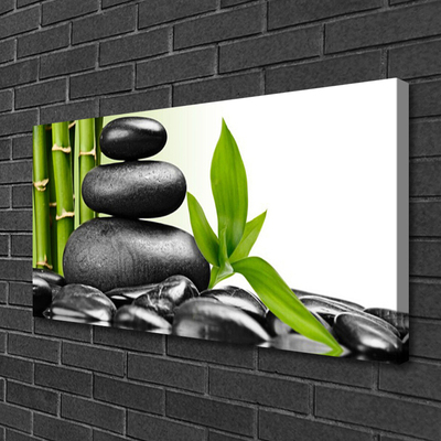 Quadro canvas Arte com Folhas e Pedras