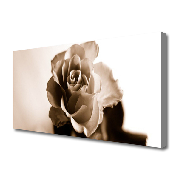 Quadro canvas Planta de flor de rosa